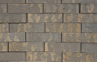 Кротовский Альфар 1НФ