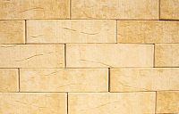 Кротовский Бальдер 1НФ